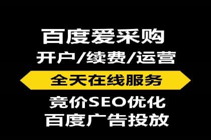 行业领先企业的关键词竞价排名实战案例